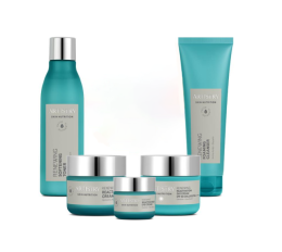 Набор «Обновление и реактивация» комплексный уход Artistry Skin Nutrition